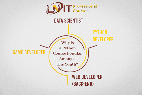 Why is a Python Course Popular Amongst The Youth? | professional courses in Kolkata