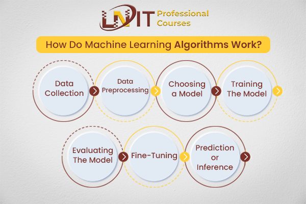 How Do Machine Learning Algorithms Work?| machine learning course in Kolkata